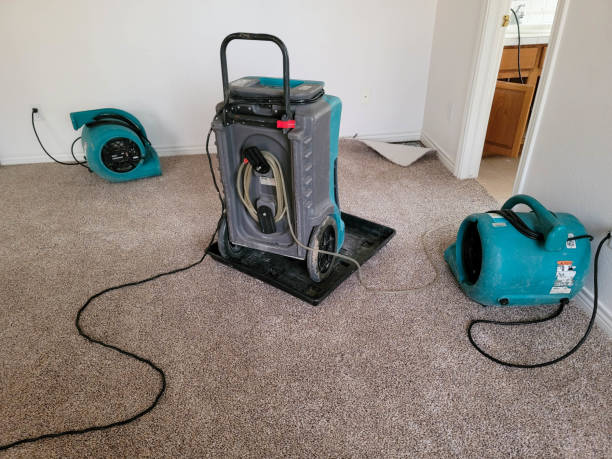 Best Basement water damage restoration  in Waterville, NY