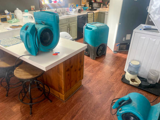 Best Carpet water damage restoration  in Waterville, NY