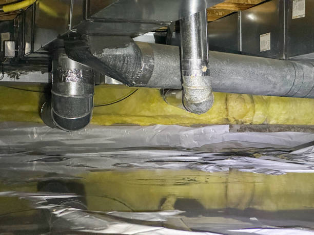 Best Basement water damage restoration  in Waterville, NY