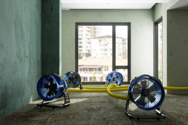  Waterville, NY Water damage restoration Pros